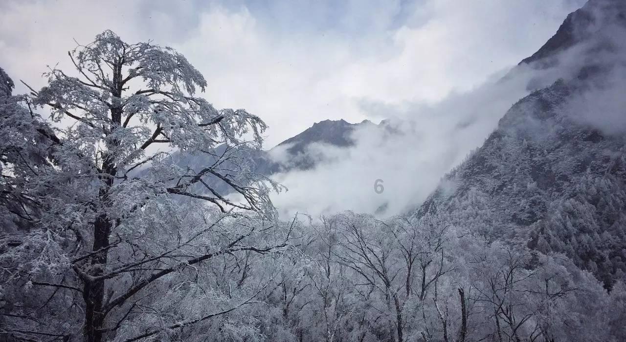 逃离幻想之镜
